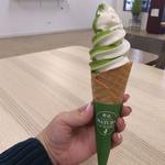 Premium Matcha Cafe Maiko