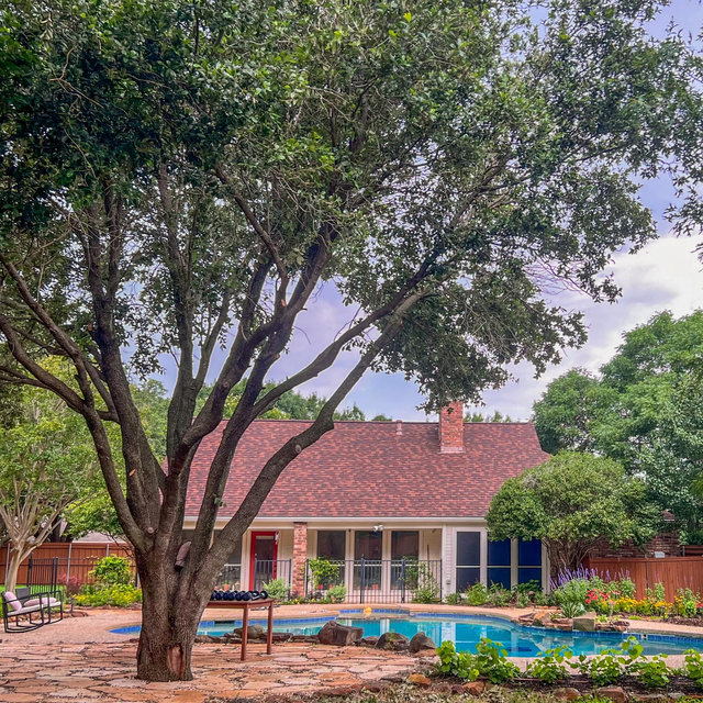 Home and Garden - Venmo
