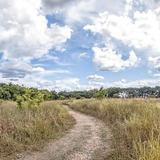 Cibolo Center for Conservation