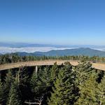 Hike: The Clingmans Dome Observation Tower Trail