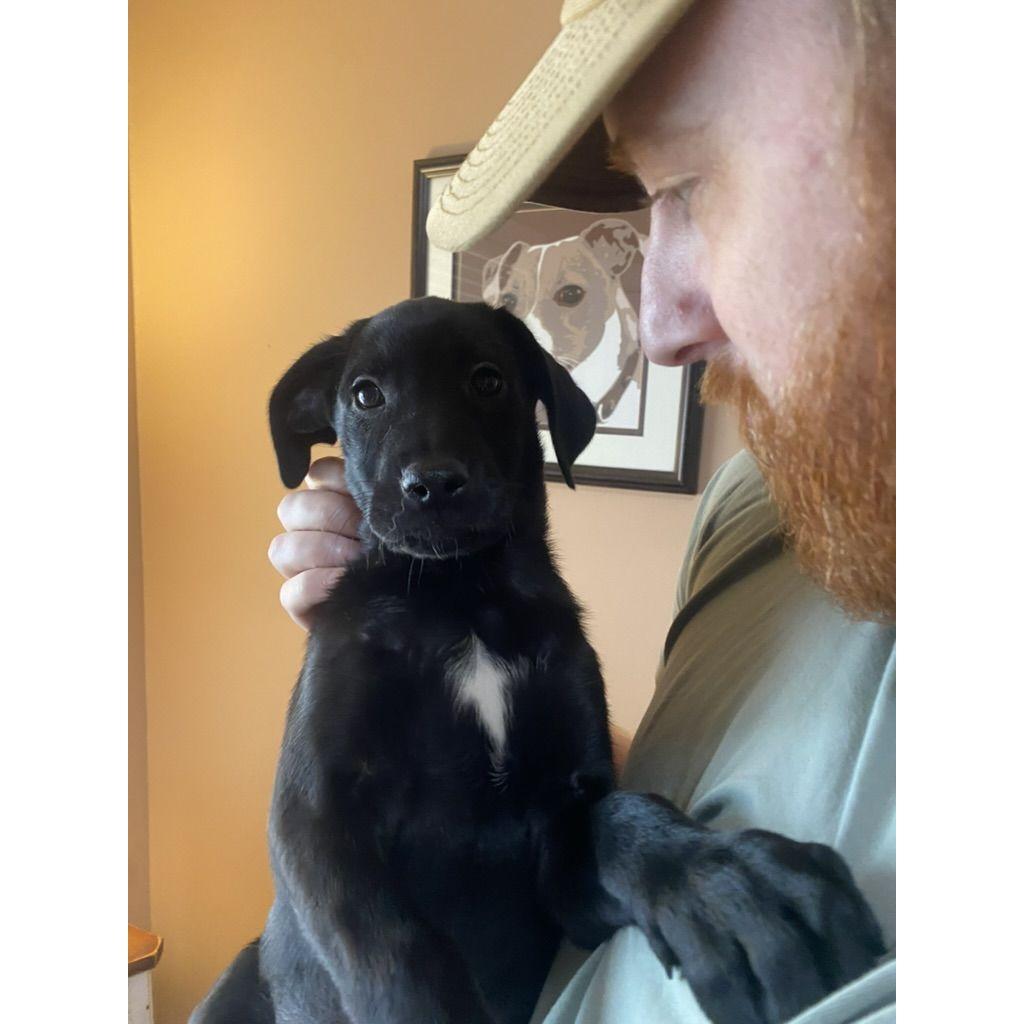 We got a puppy!
