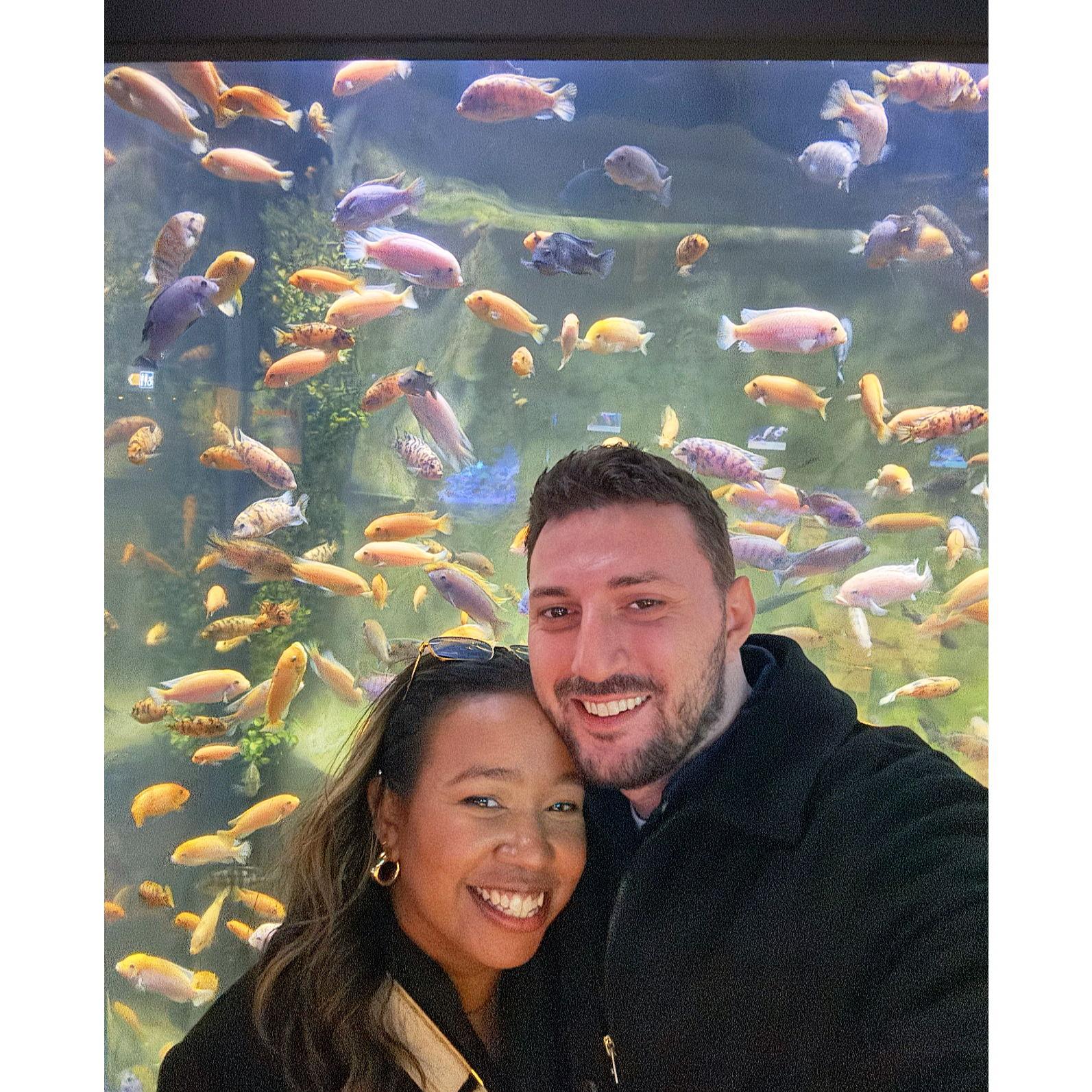 @ Mystic Aquarium in Mystic, CT