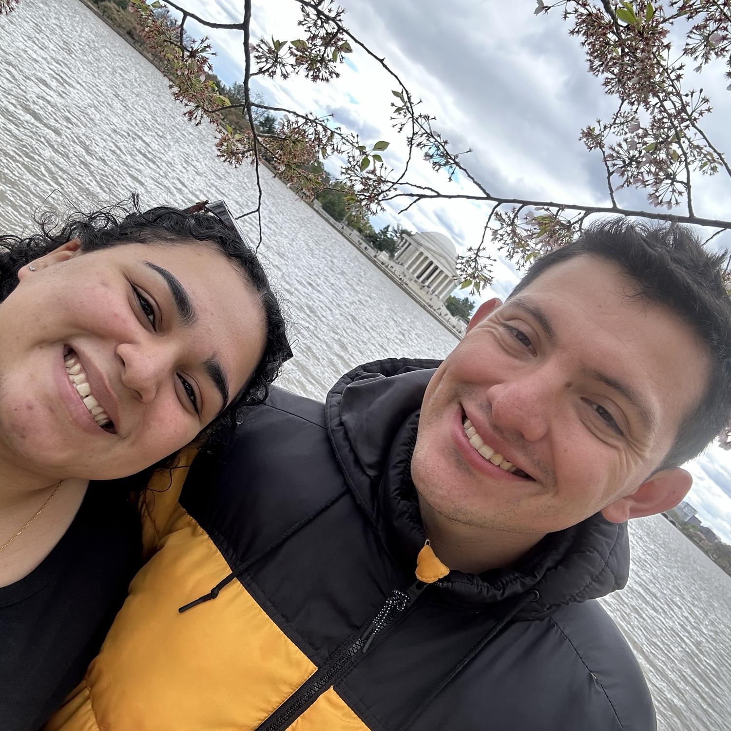 Washington DC Cherry blossoms 2024