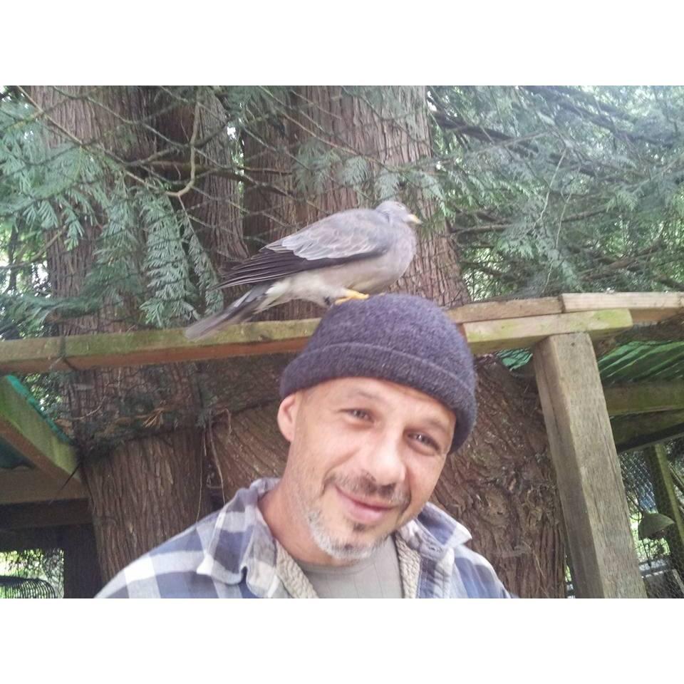 Hanging with the doves.