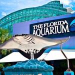 The Florida Aquarium