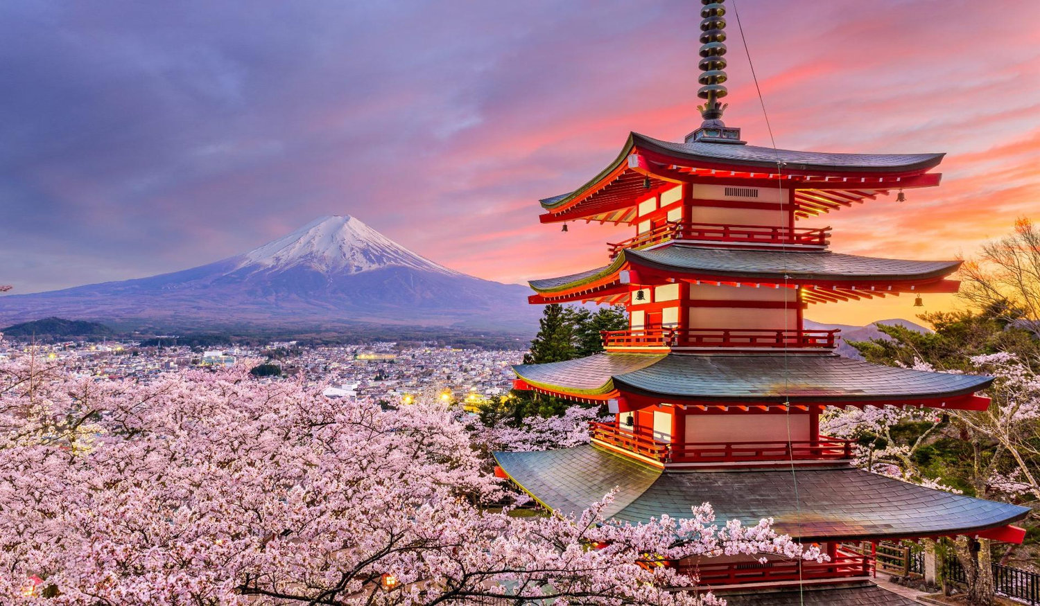 d8fa1e92-dc21-4f30-97b5-2dfb260323d9