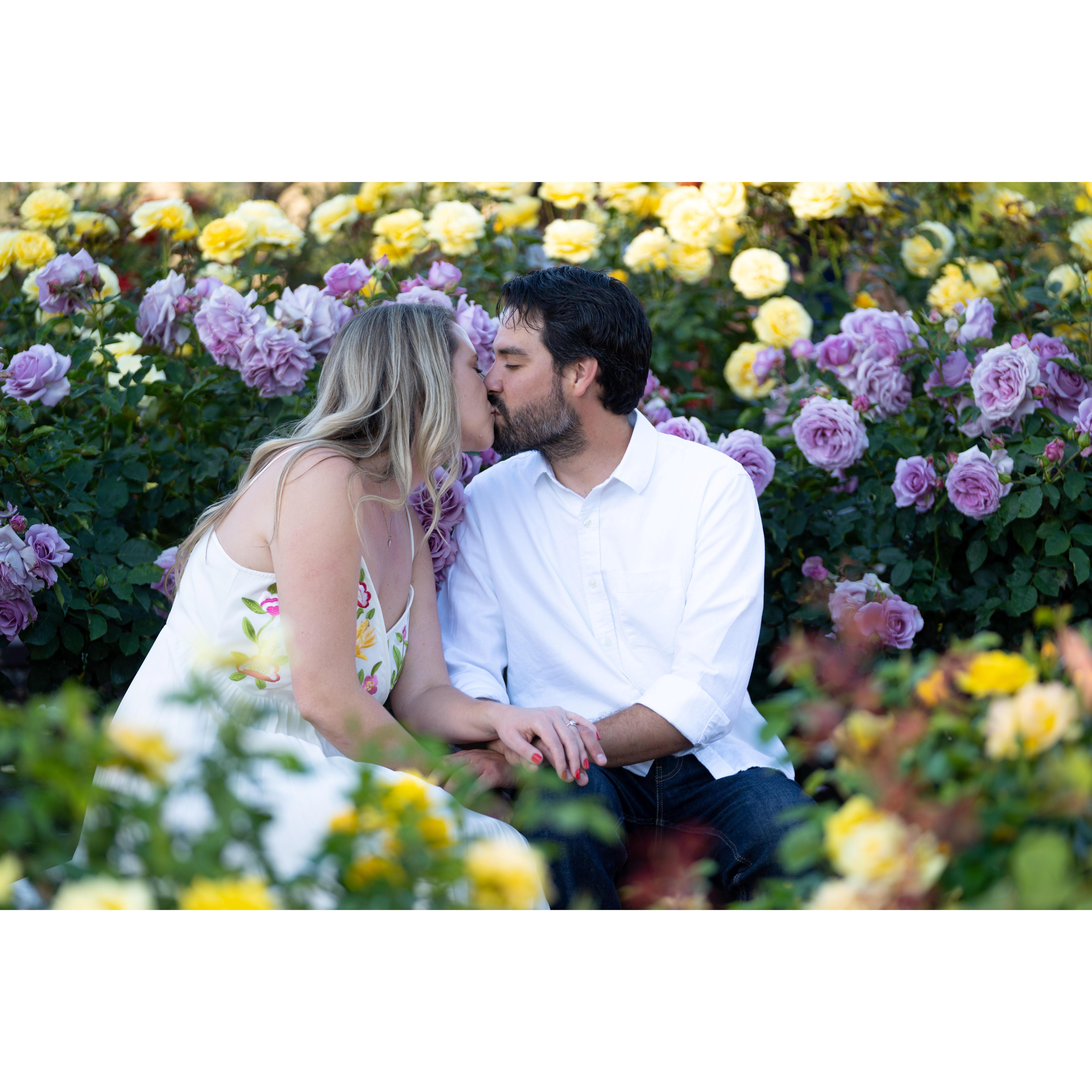 Balboa Park Rose Garden 2021