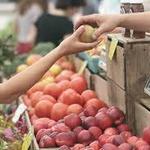 Steamboat Farmers Market
