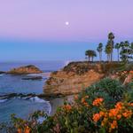 Laguna Beach