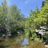 Santa Margarita River Trail Preserve
