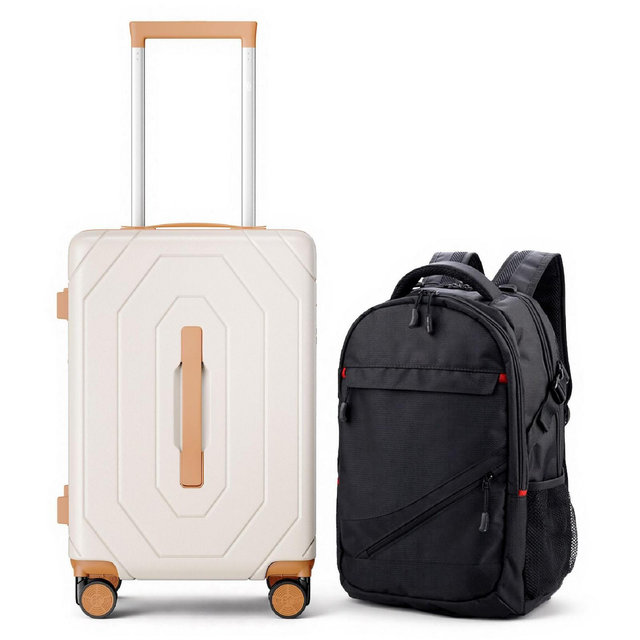 SUGIFT 2 Piece Luggage Set 20 Inch PC Hardshell Carry On with Spinner Wheels TSA Lock and 15.6 Inch Travel Backpack