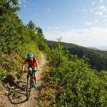 Mountain Biking