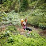 Toro Verde Zipline