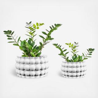 Cindy 2-Piece 3D Printed Bubble Planter Set