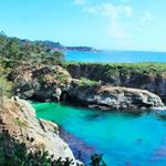 Point Lobos State Natural Reserve