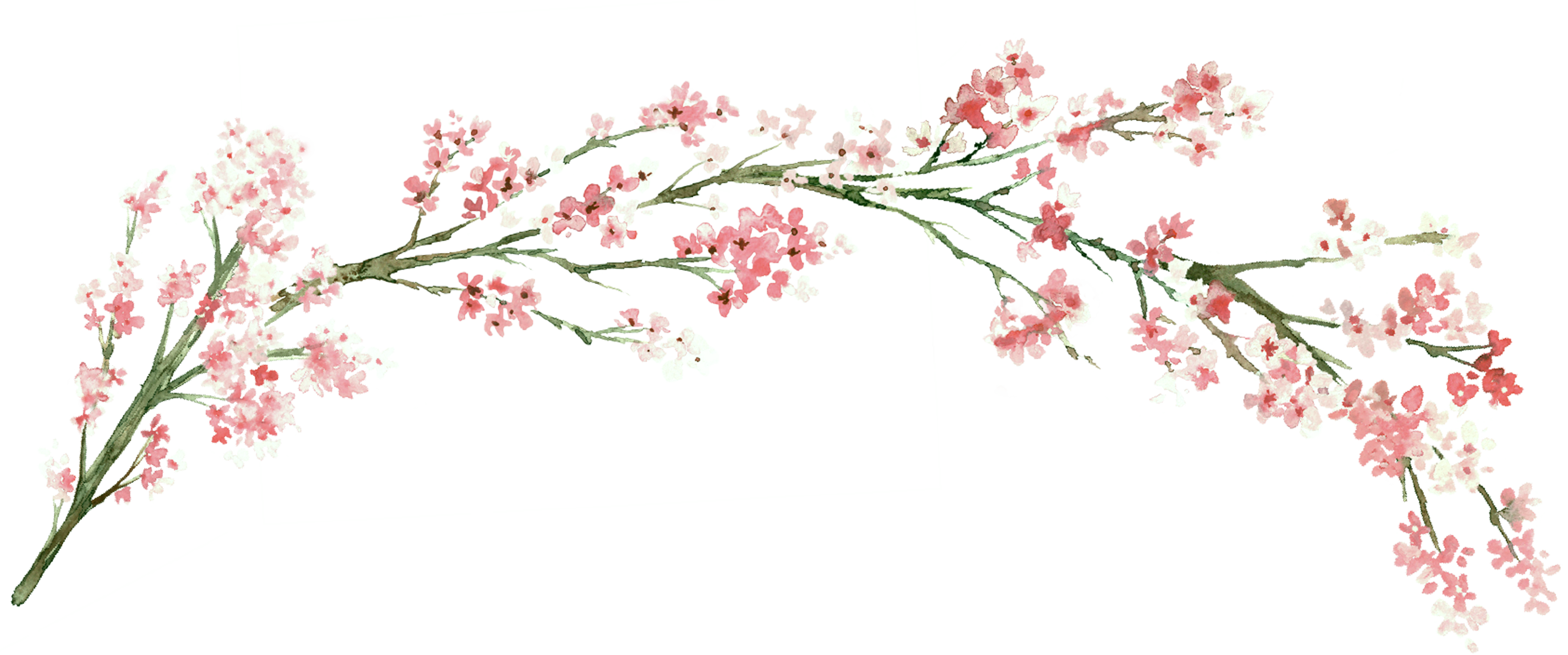 floral