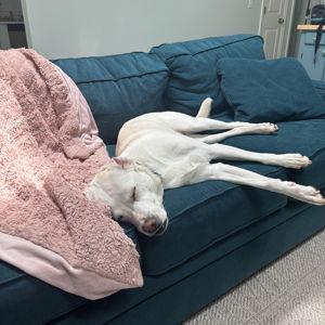 Our new couch fund