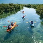 Kayak Tours