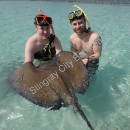 Swimming with stingrays in the Bahamas. A dream of mine! -Tabitha