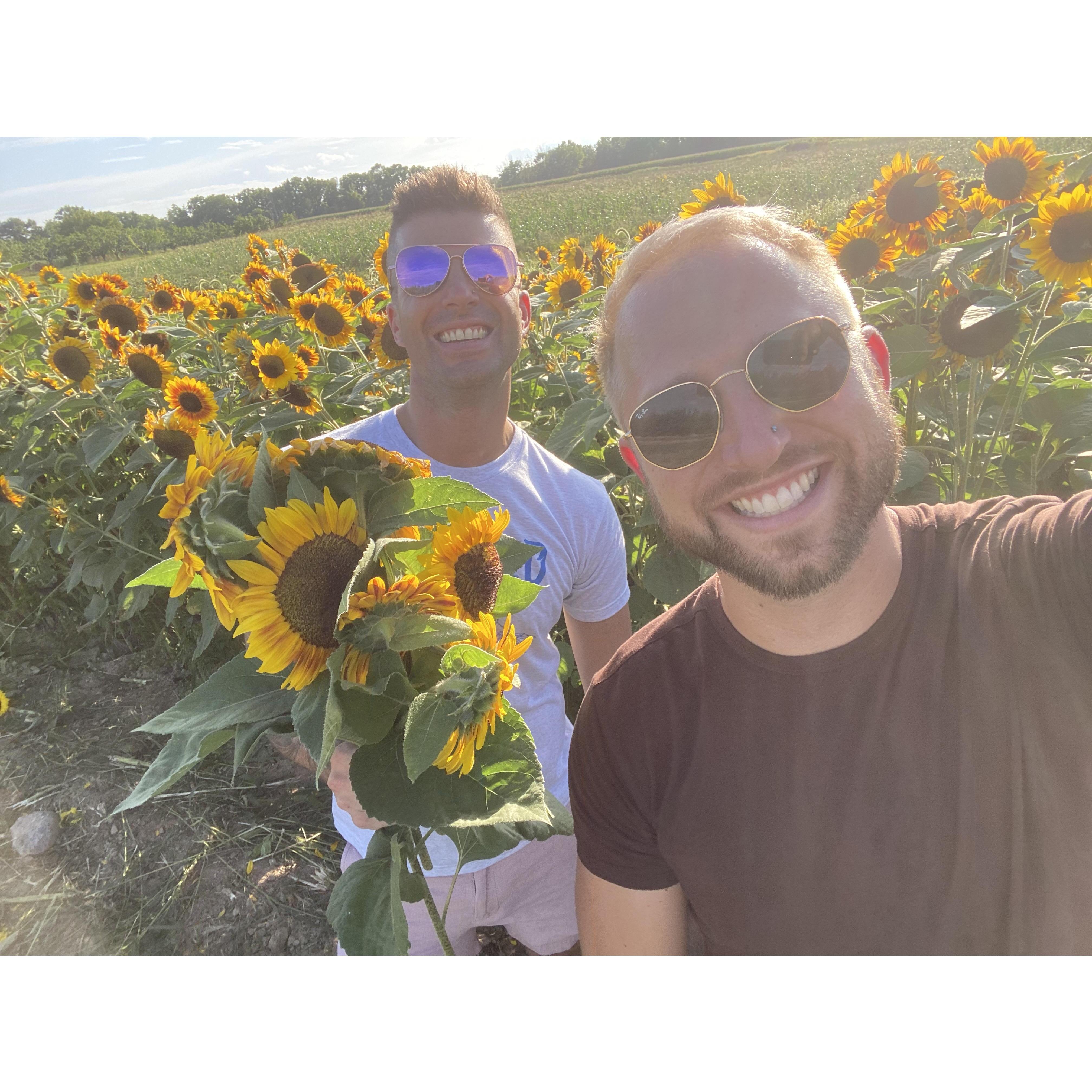Becker farms is a favorite spot during the summer and Zander LOVES the alpacas!