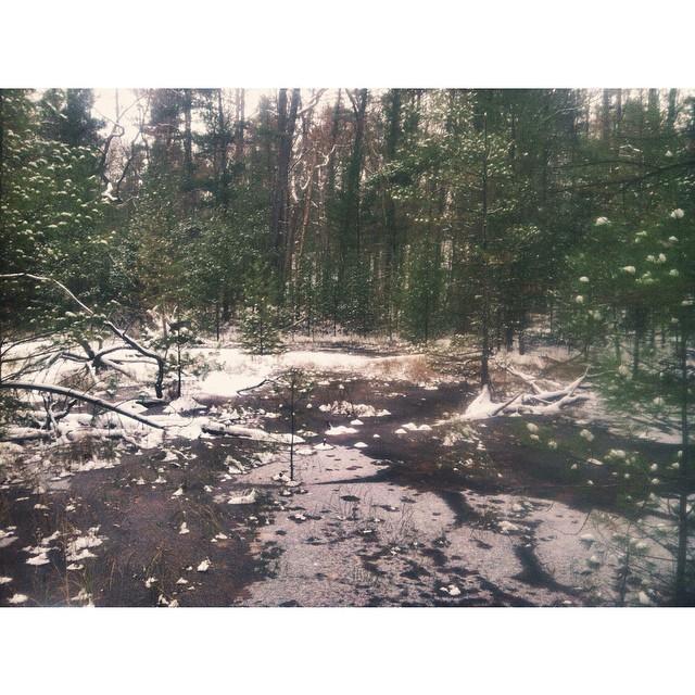 November 18th, 2014:
Emilio captured this shot of a frozen pond during their explorations of Northern Michigan. 🌨️