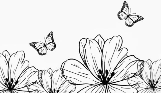 The Wedding Website of Adriana McCabe and Thomas Campbell