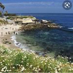La Jolla Cove