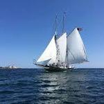 Sail Gloucester