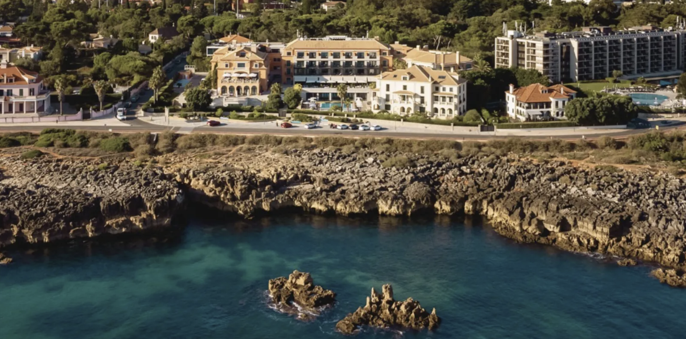 The Wedding Website of Lauren Brill and Varoon Sahgal