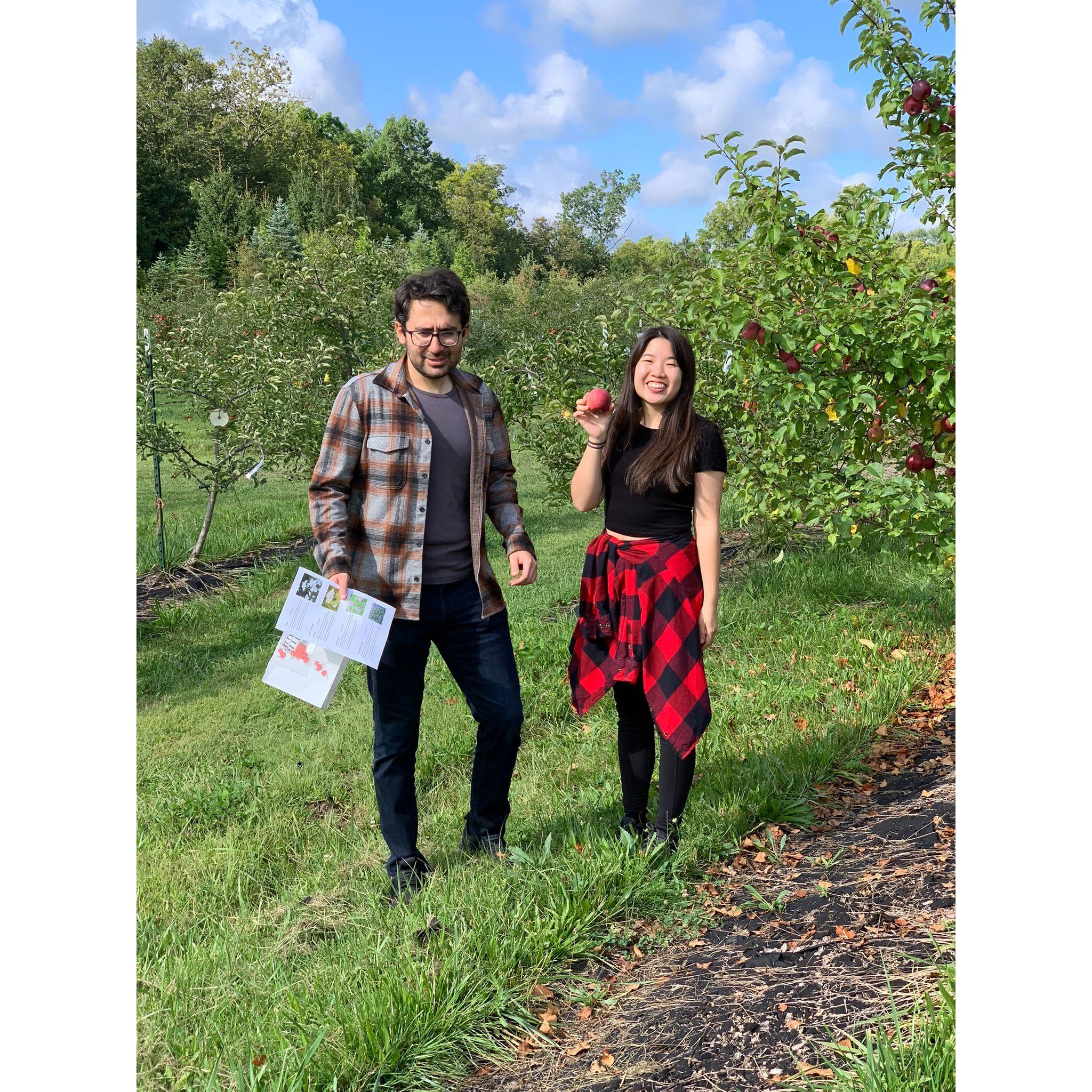 Apple picking (PC: Nima and Saba)