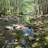 Mashamoquet Brook State Park