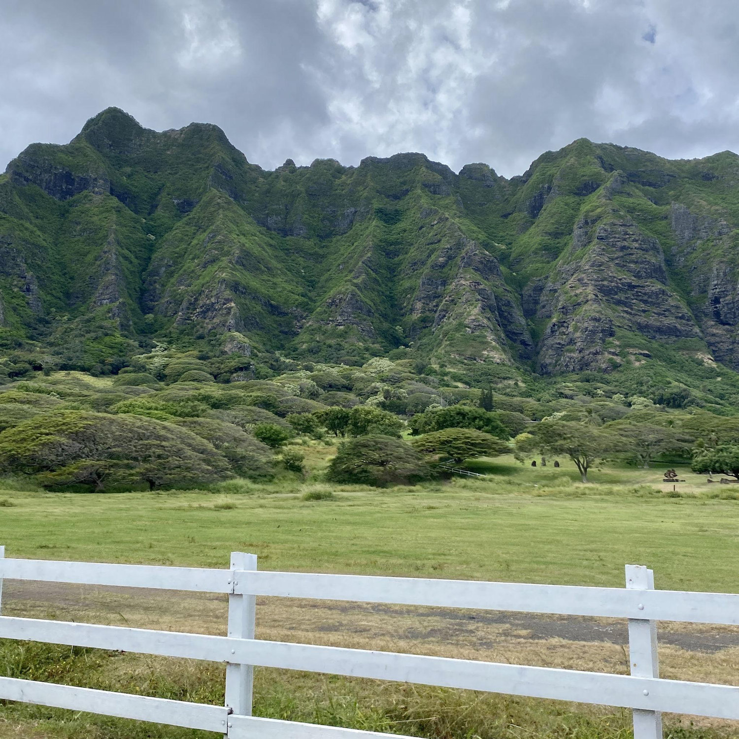 nyah nyah nyah nyah nyaaaaa (think 'Jurassic Park theme' as you say it)