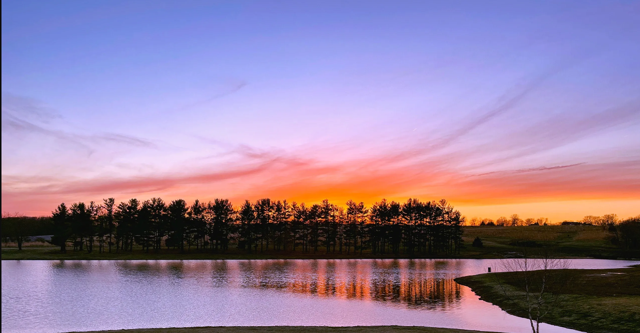 The Wedding Website of Nicole Scelonge and Zachary Miller