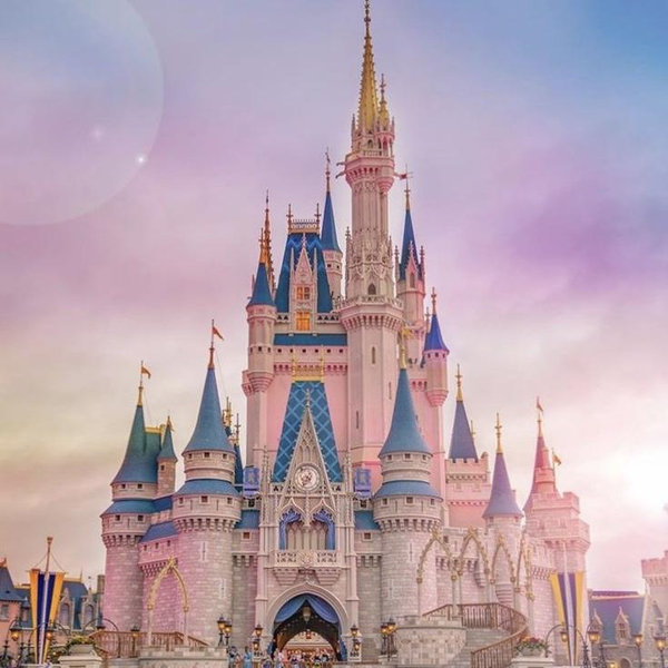 Happily Ever After Honeymoon