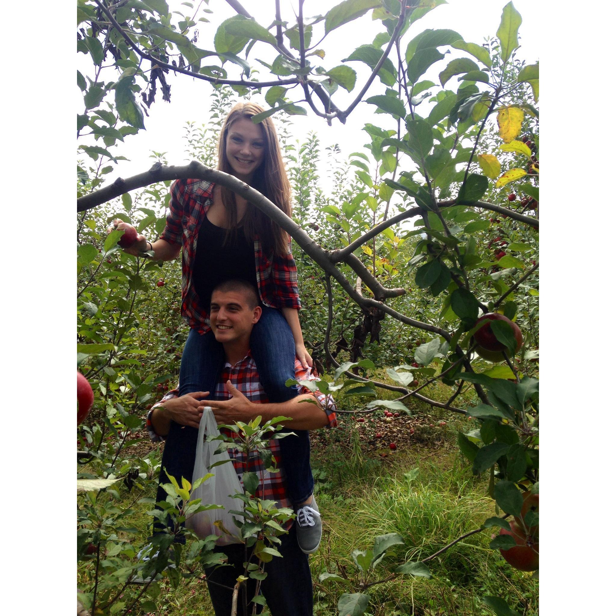 Because he supports my love of apples