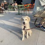 OPE! Brewing Co.