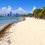 Virginia Key & Hobie Beach