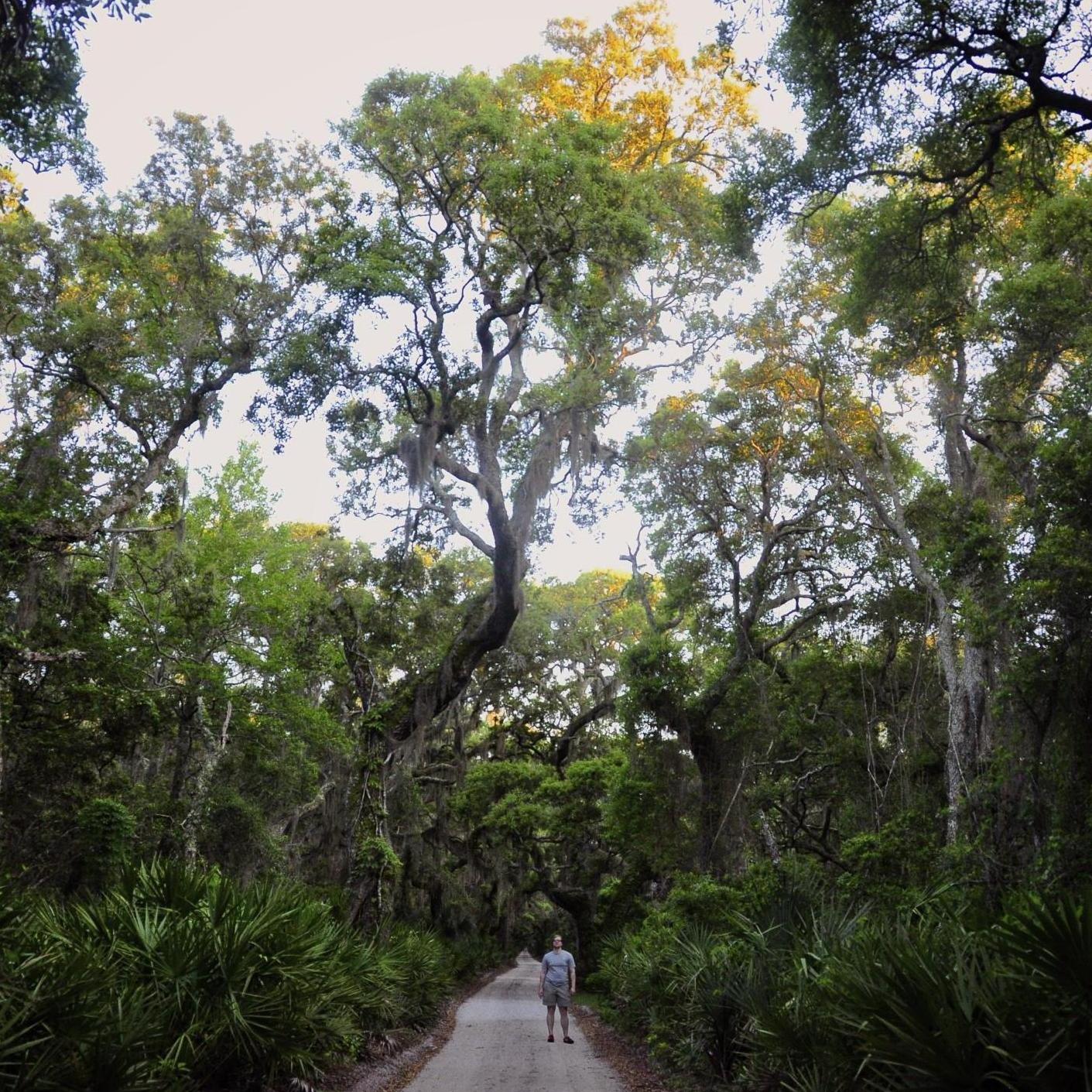 Micah on Cumberland Island