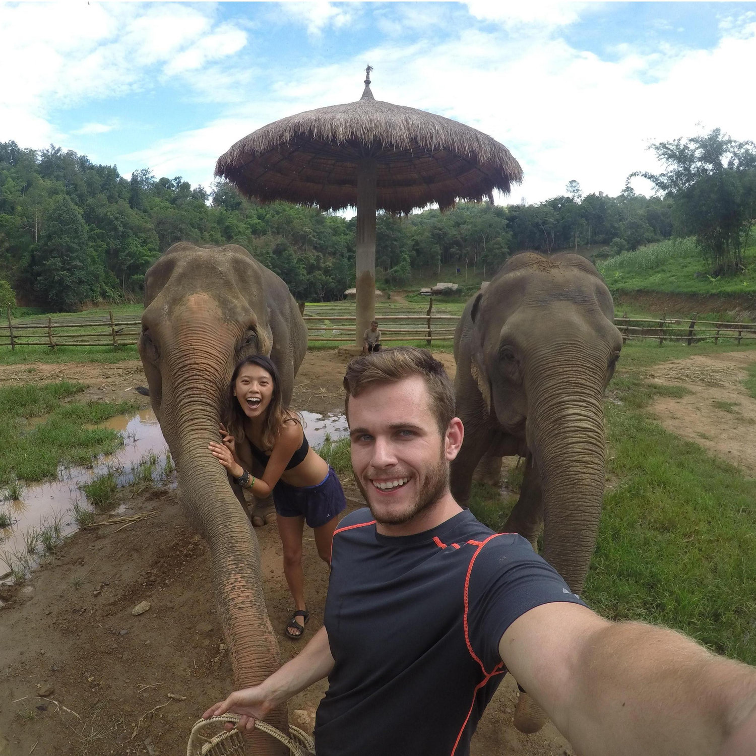 Elephant outing in Thailand. July 2015