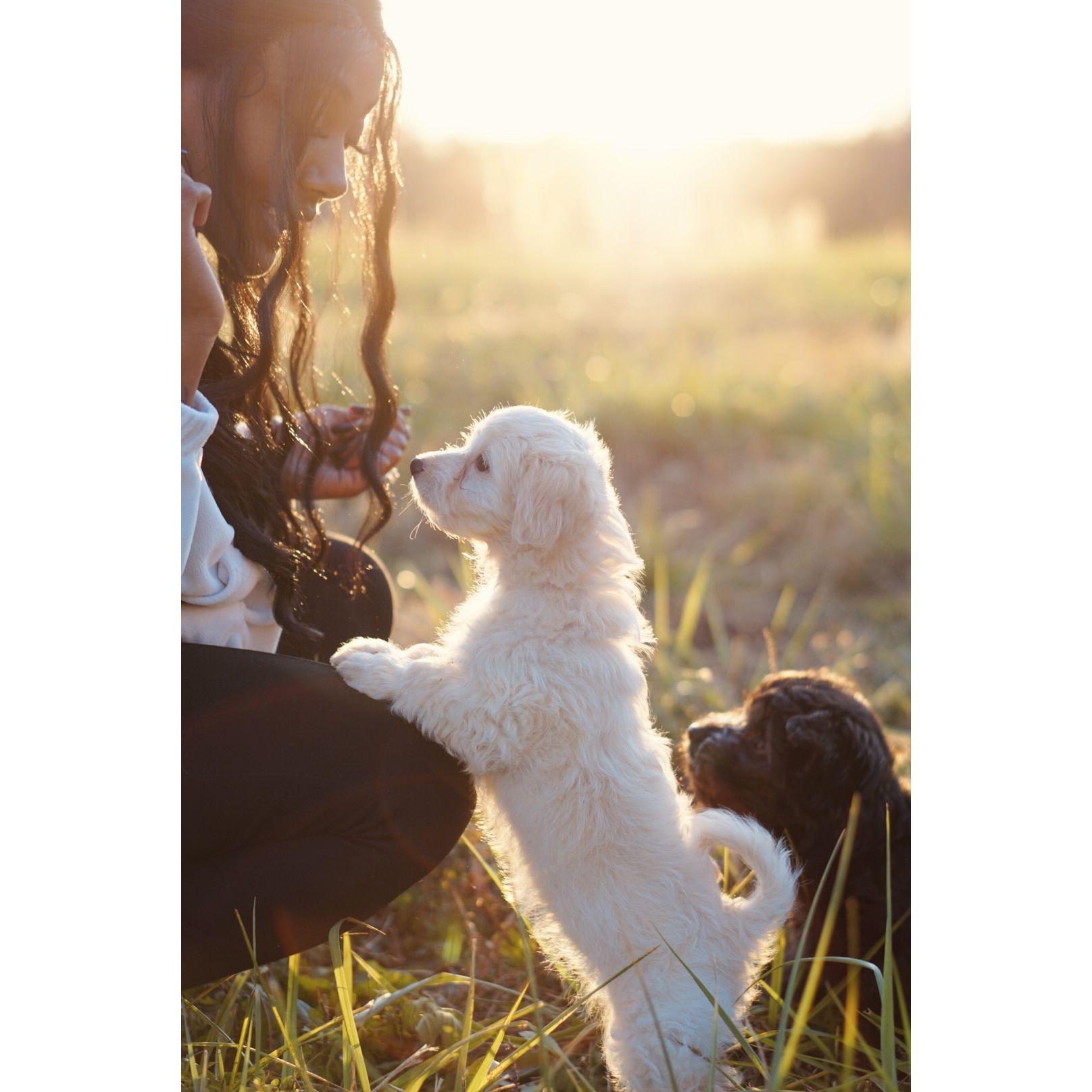 Dog mom for life.