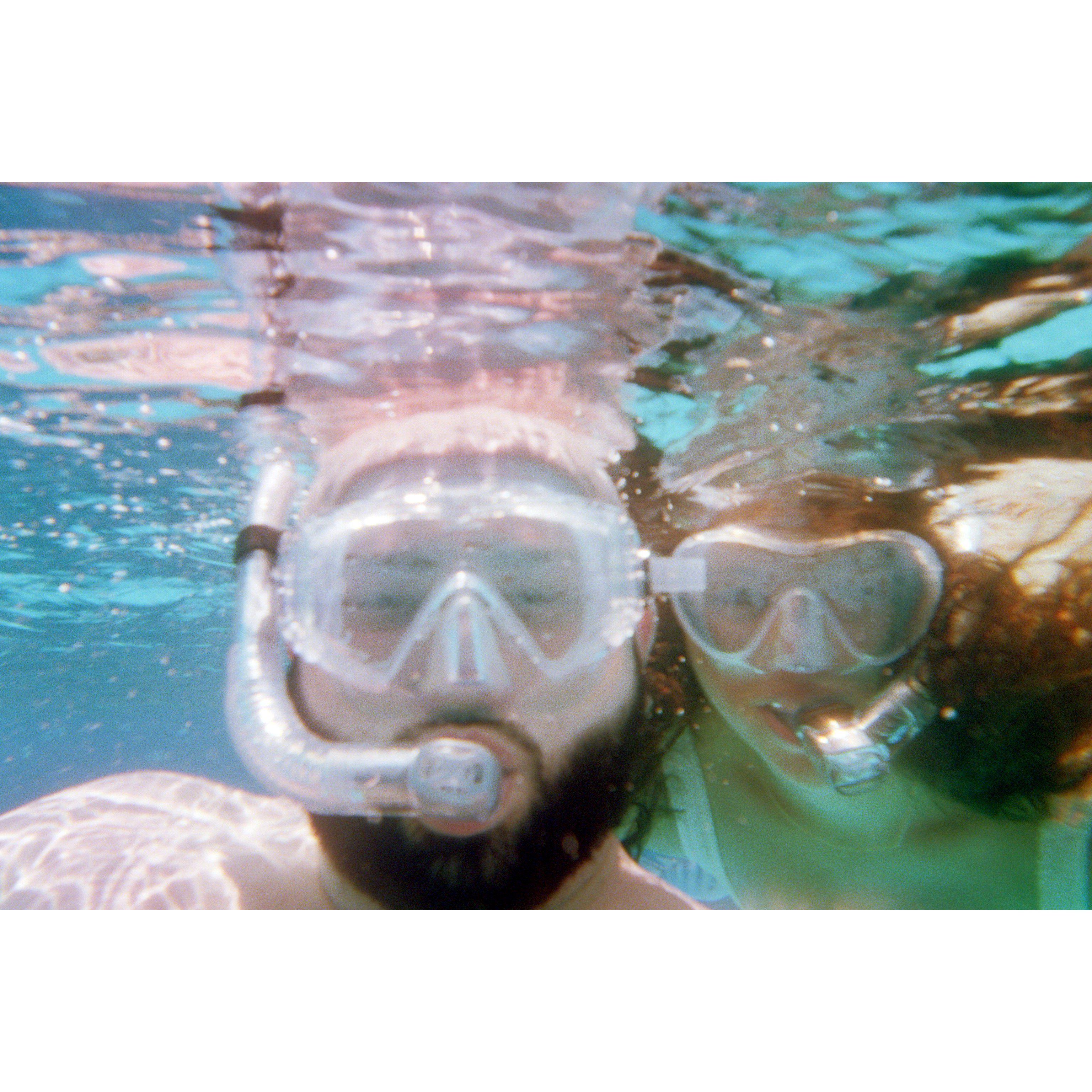 Snorkeling in Bora Bora 2020