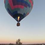 Hot Air Balloon Rides