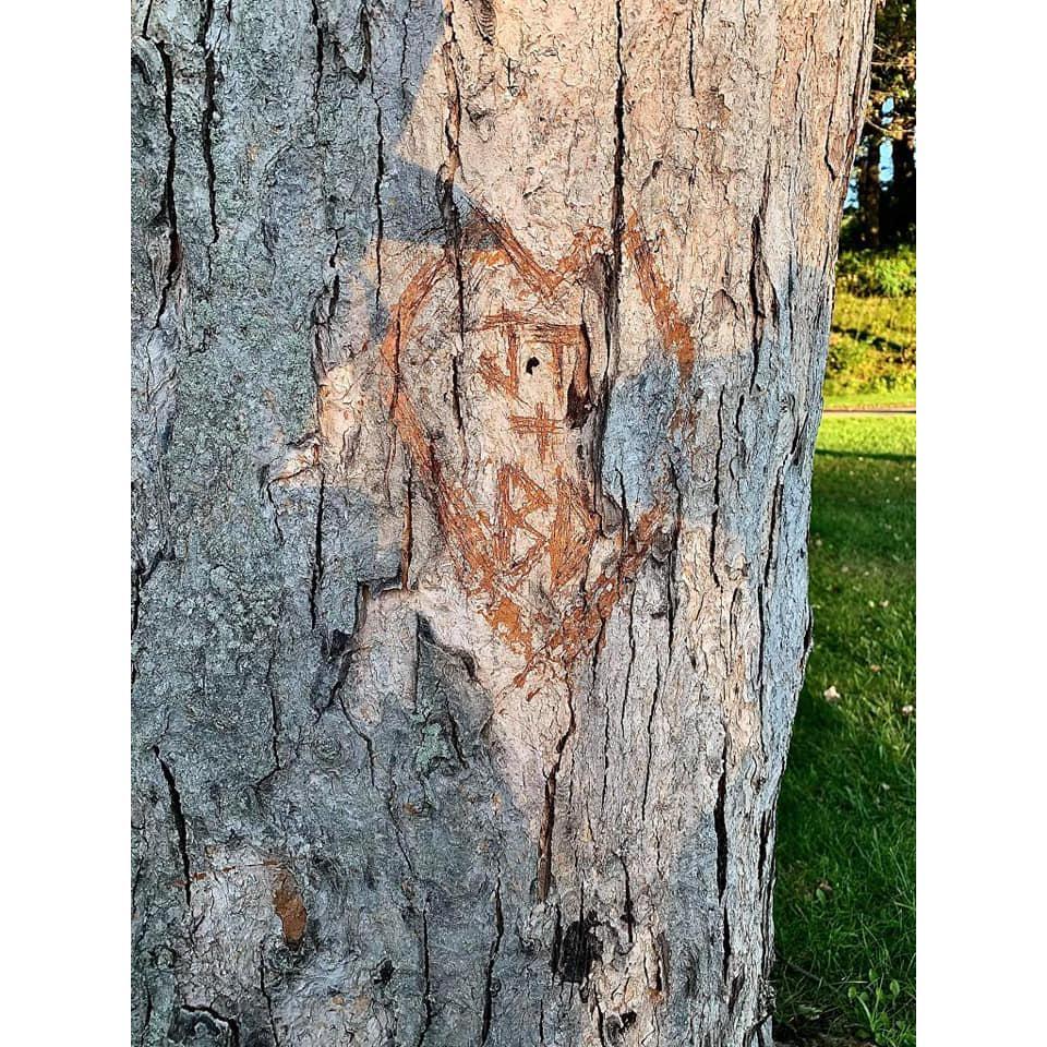 During the 1st date, Ben carved our initials into the tree we sat under :)