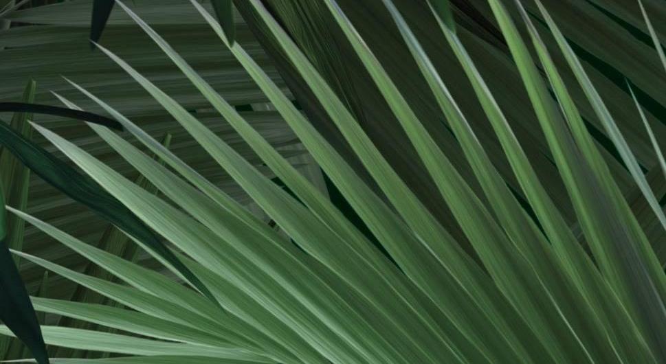 Footer image