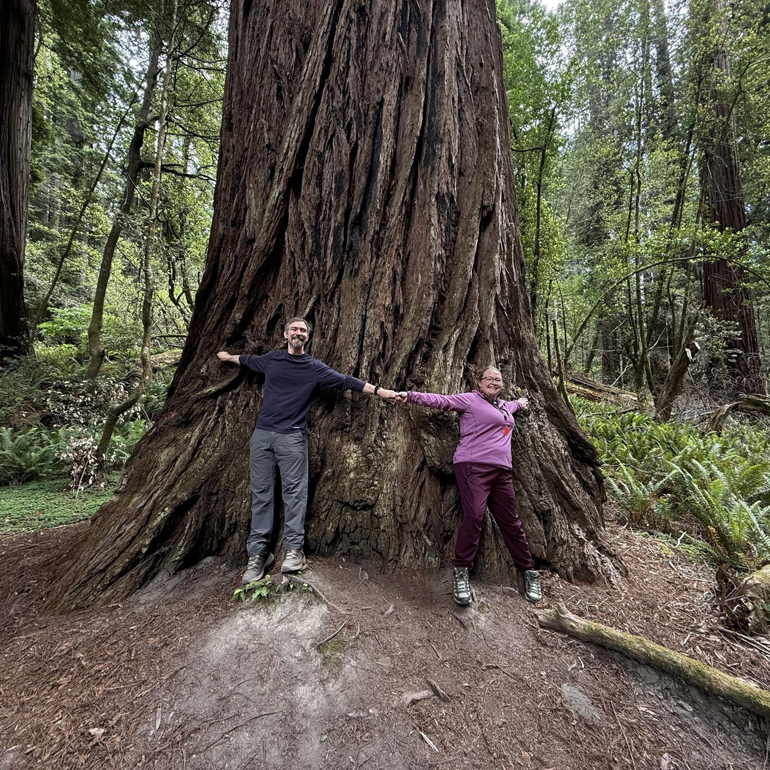 Visited the Redwoods