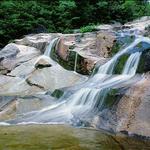 Step Falls Preserve