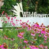 Lady Bird Johnson Wildflower Center