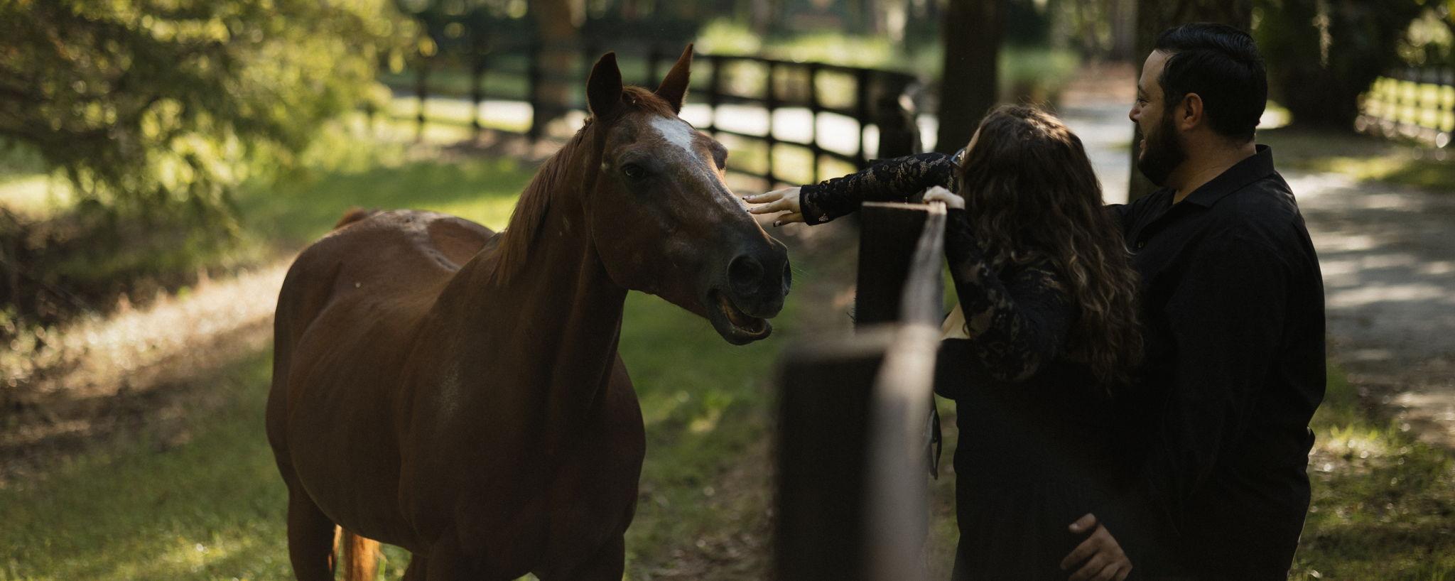 The Wedding Website of Trinity Copes and Brandon Levin