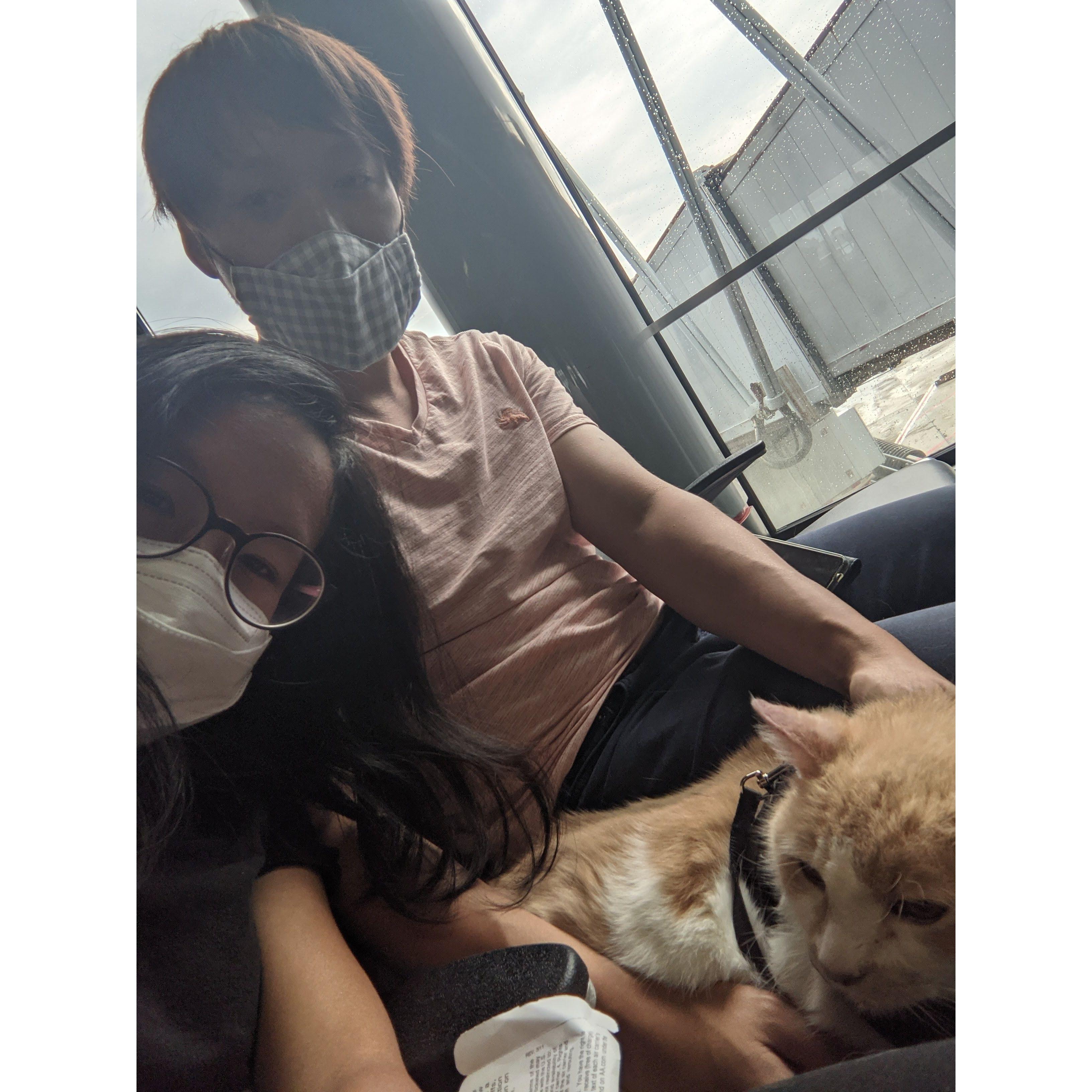 Our first cat, Mellow, on the way with us to new adventures in Austin!