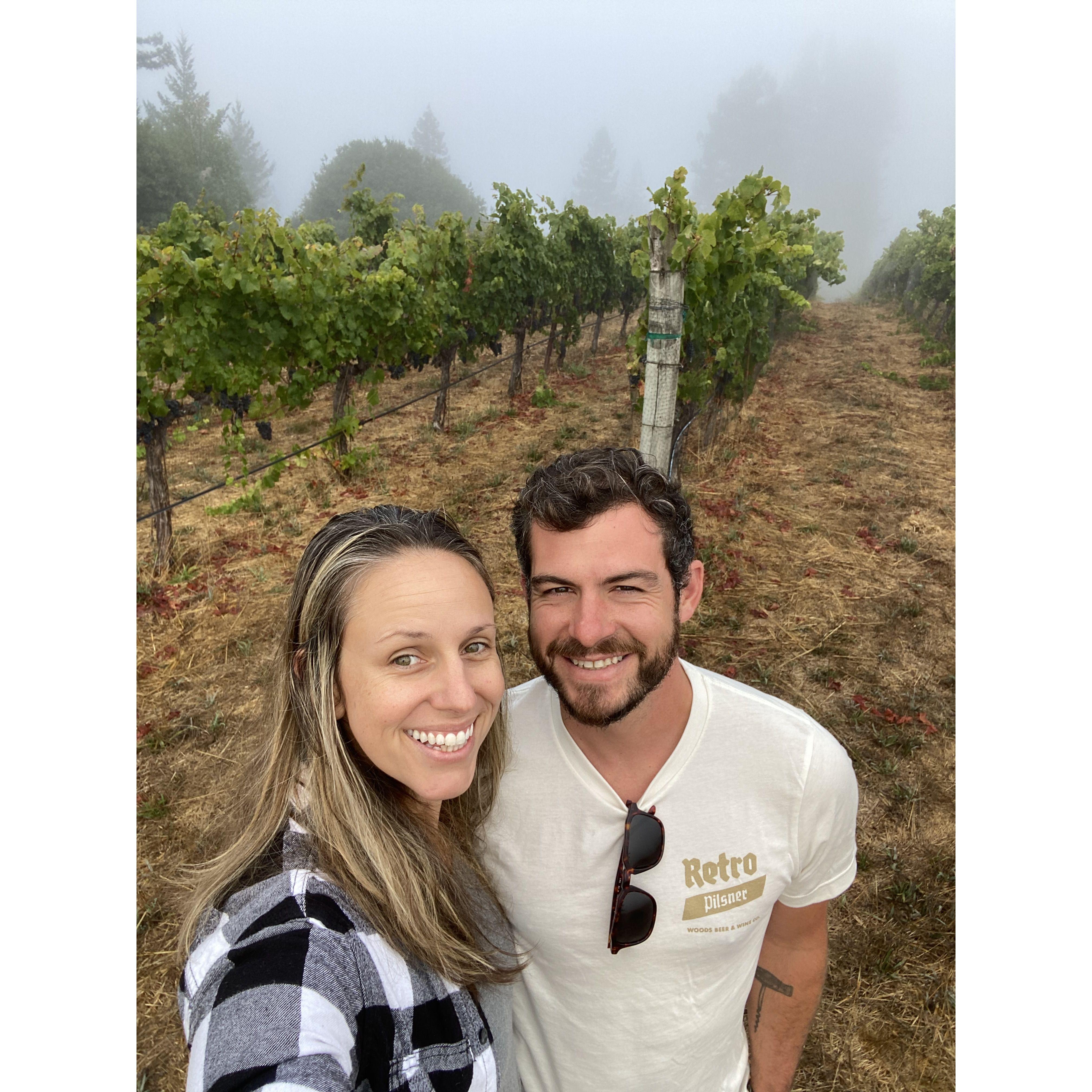 JJ's first time on a vineyard...and probably not the last!